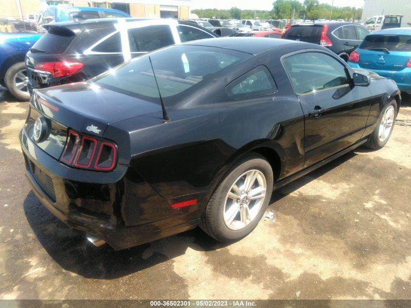 2014 FORD MUSTANG V6 - 1ZVBP8AM0E5332466