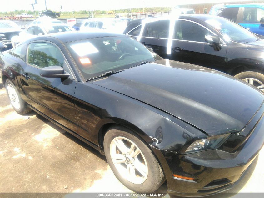 2014 FORD MUSTANG V6 - 1ZVBP8AM0E5332466