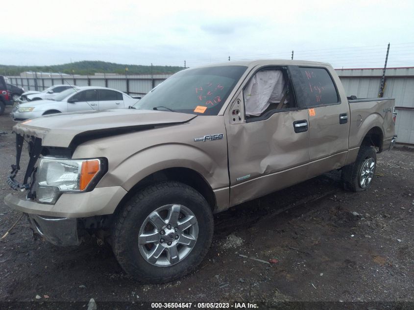 2014 FORD F-150 XL/XLT/FX4/LARIAT - 1FTFW1ET3EKF15085