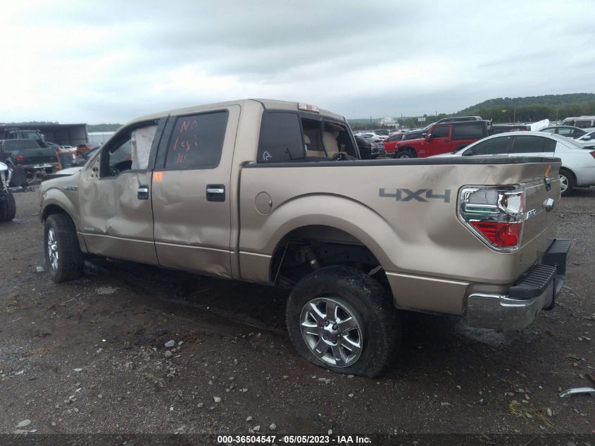 2014 FORD F-150 XL/XLT/FX4/LARIAT - 1FTFW1ET3EKF15085