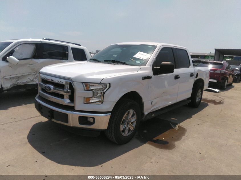 2015 FORD F-150 XLT/XL - 1FTEW1C81FKE84818