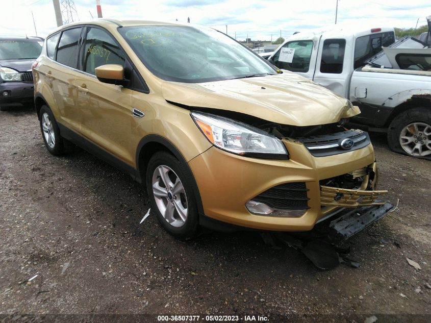 2014 FORD ESCAPE SE - 1FMCU0GX1EUB95672