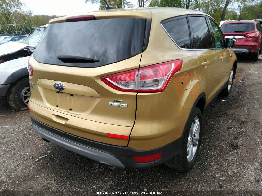 2014 FORD ESCAPE SE - 1FMCU0GX1EUB95672