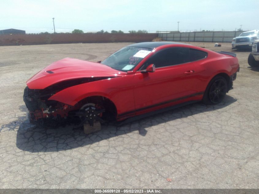 2019 FORD MUSTANG ECOBOOST - 1FA6P8TH7K5103921