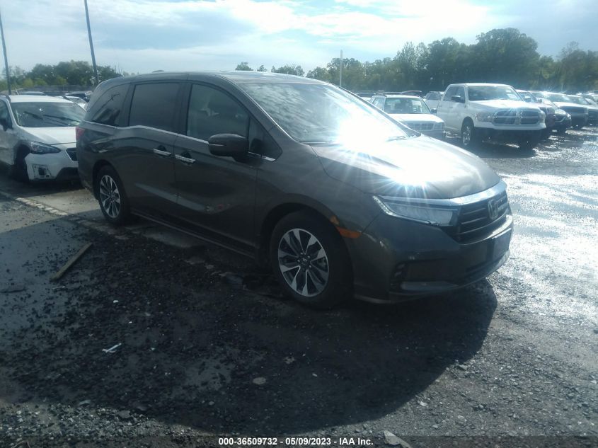 2023 HONDA ODYSSEY EX-L - 5FNRL6H65PB028706