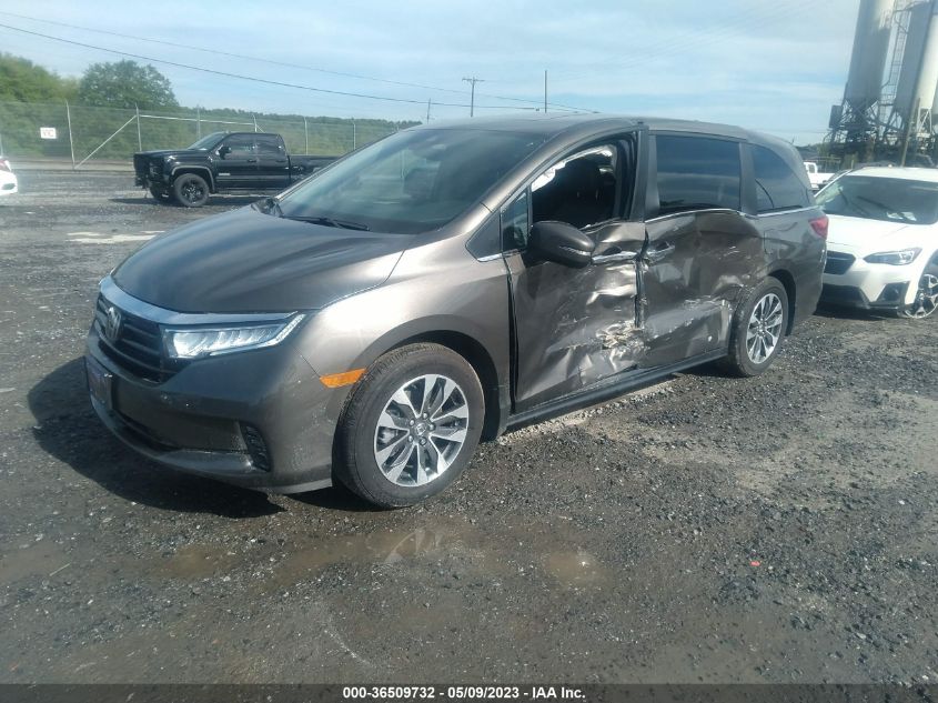 2023 HONDA ODYSSEY EX-L - 5FNRL6H65PB028706