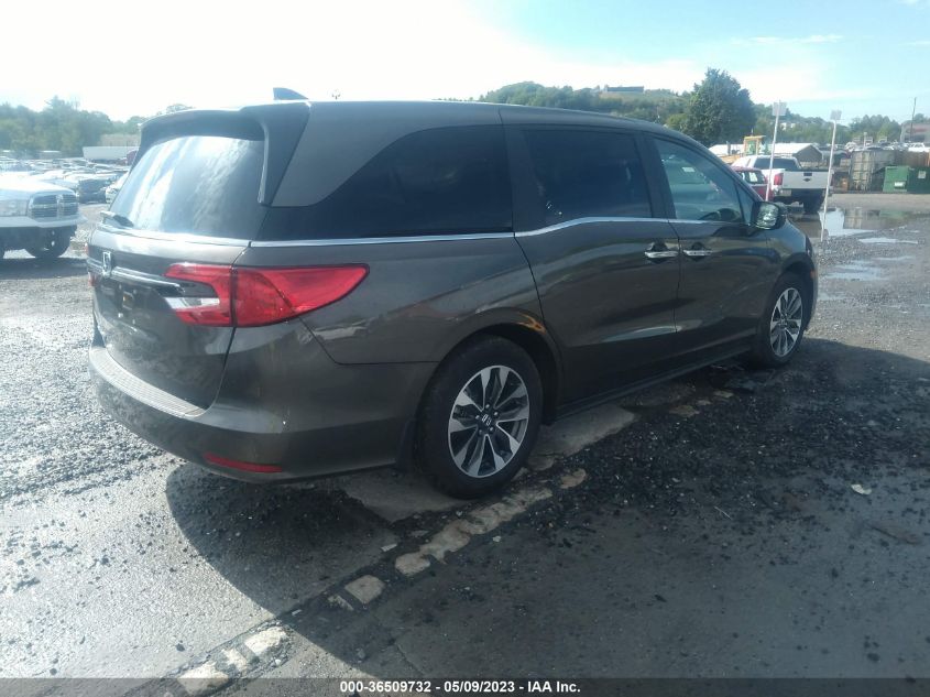 2023 HONDA ODYSSEY EX-L - 5FNRL6H65PB028706
