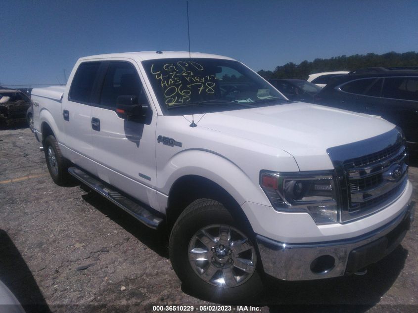 2014 FORD F-150 XL/XLT/FX4/LARIAT - 1FTFW1ET8EKG40678