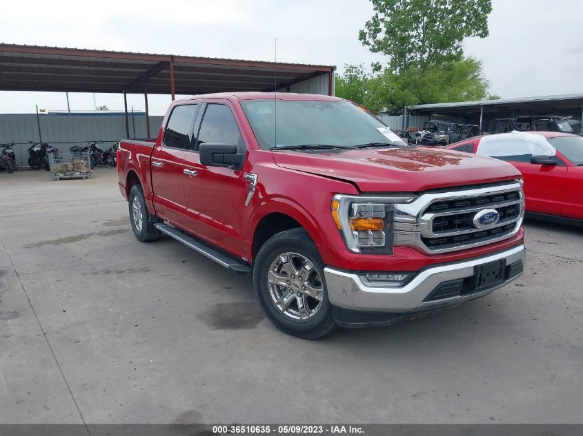 2021 FORD F-150 XL/XLT/LARIAT - 1FTEW1CPXMKD81465