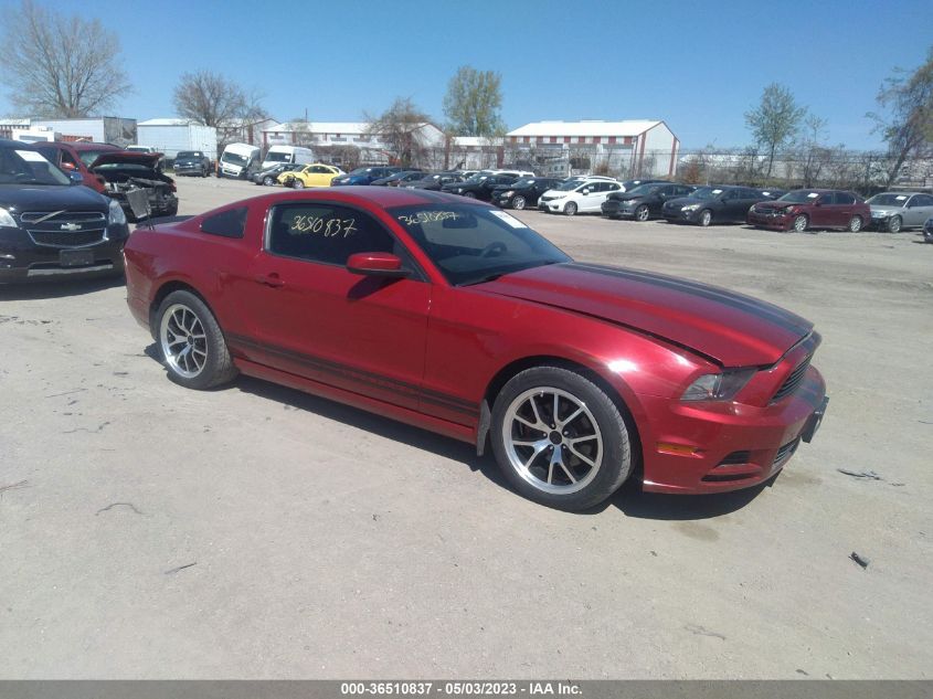 2013 FORD MUSTANG V6 - 1ZVBP8AM1D5227644