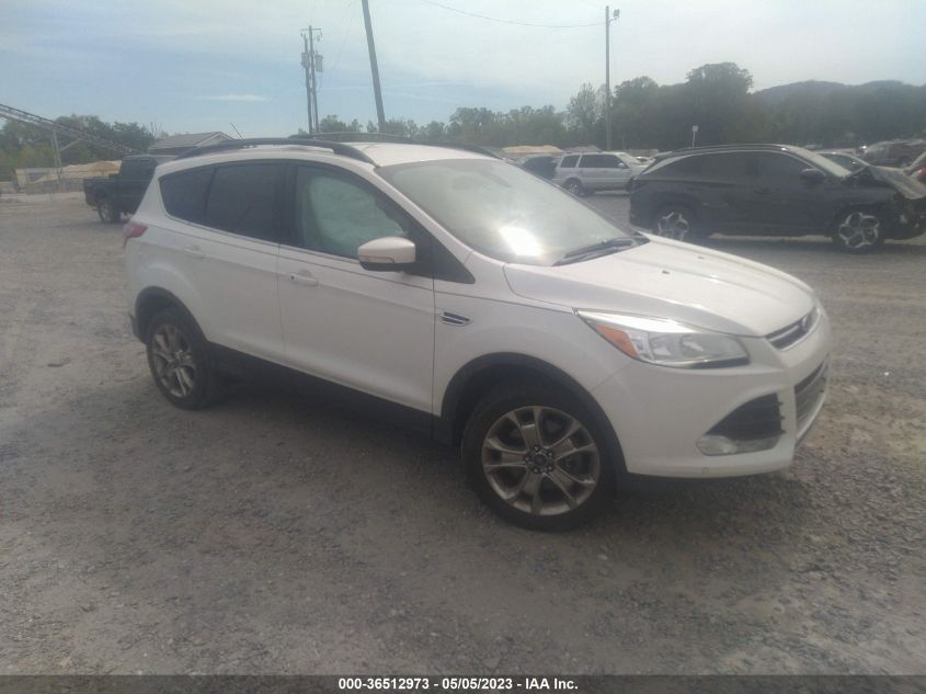 2013 FORD ESCAPE SEL - 1FMCU0H90DUB43030