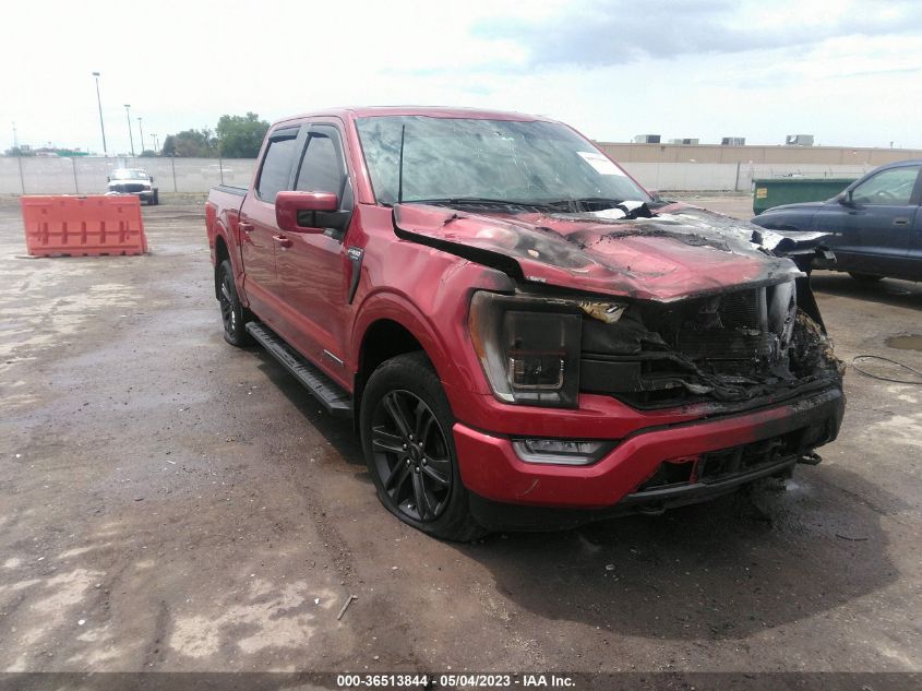 2021 FORD F-150 XL/XLT/LARIAT - 1FTFW1ED8MFA92794