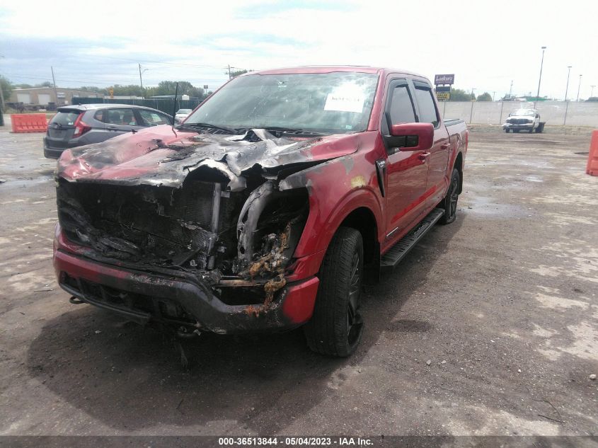 2021 FORD F-150 XL/XLT/LARIAT - 1FTFW1ED8MFA92794