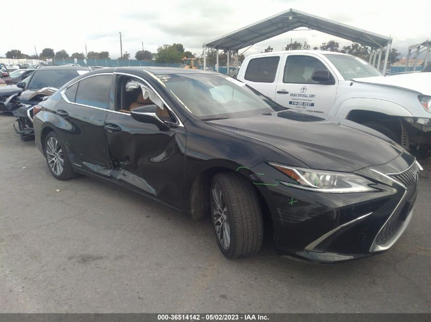2021 LEXUS ES ES 300H - 58ADA1C10MU004335