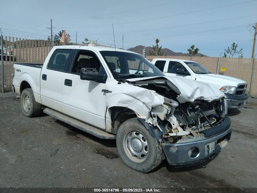 2013 FORD F-150 XL/XLT/FX4/LARIAT - 1FTFW1EF4DFC36603