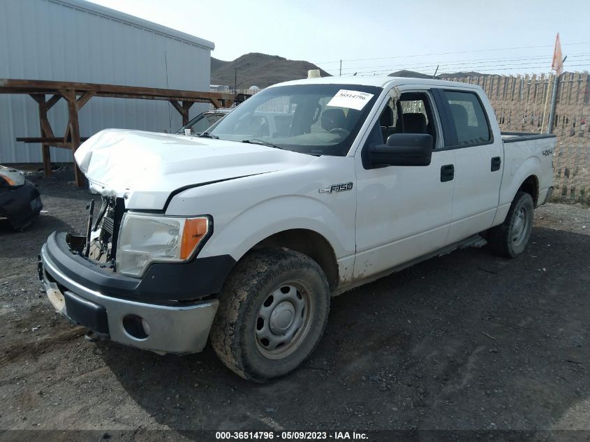 2013 FORD F-150 XL/XLT/FX4/LARIAT - 1FTFW1EF4DFC36603