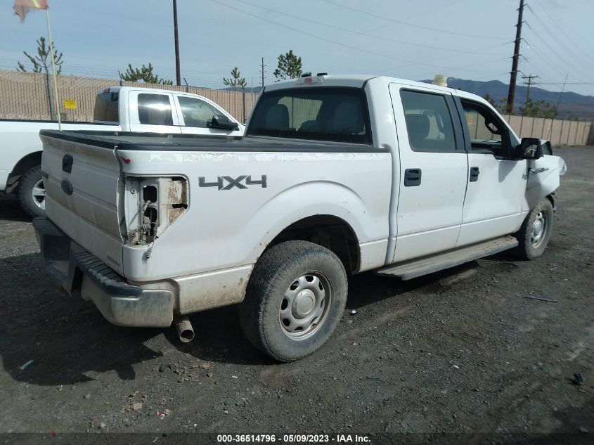 2013 FORD F-150 XL/XLT/FX4/LARIAT - 1FTFW1EF4DFC36603