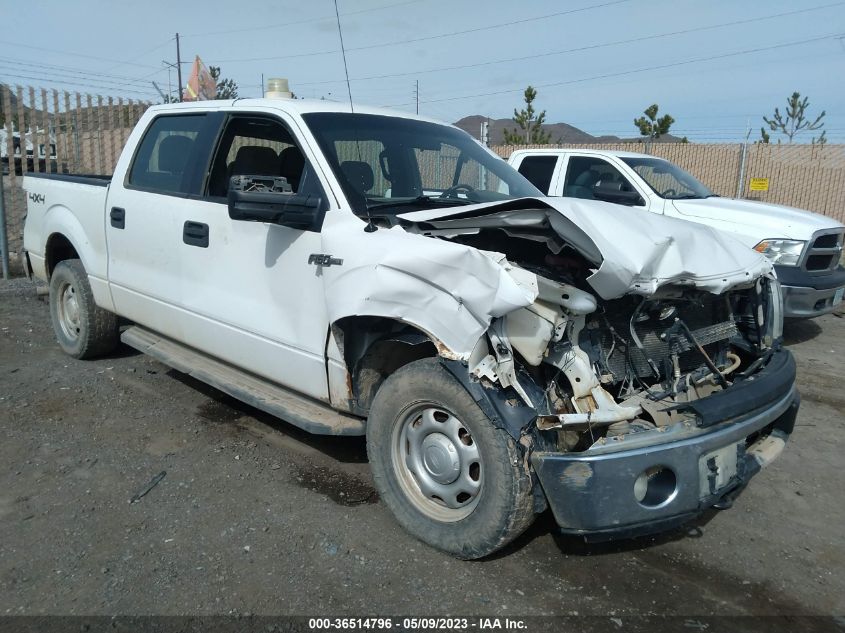 2013 FORD F-150 XL/XLT/FX4/LARIAT - 1FTFW1EF4DFC36603