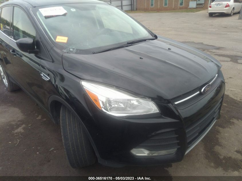 2016 FORD ESCAPE SE - 1FMCU0GX6GUA20871