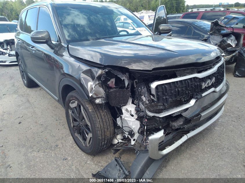 2023 KIA TELLURIDE EX - 5XYP3DGCXPG354593