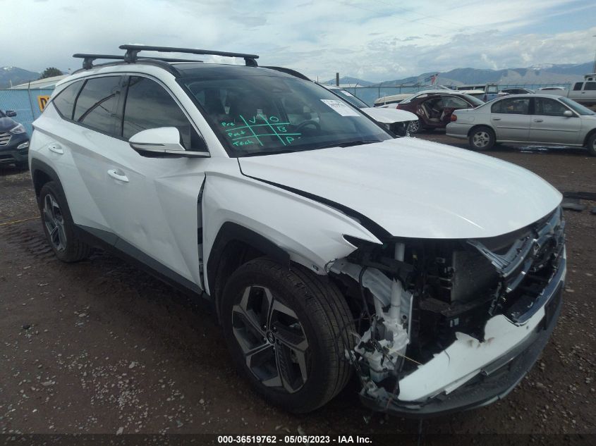 2023 HYUNDAI TUCSON LIMITED - 5NMJECAE7PH204581