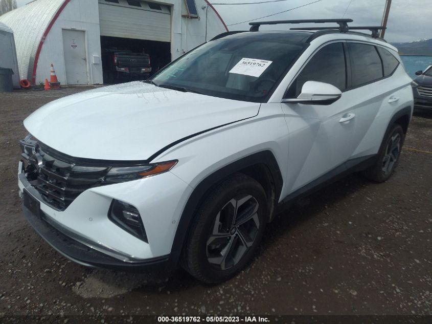 2023 HYUNDAI TUCSON LIMITED - 5NMJECAE7PH204581