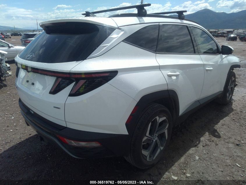 2023 HYUNDAI TUCSON LIMITED - 5NMJECAE7PH204581