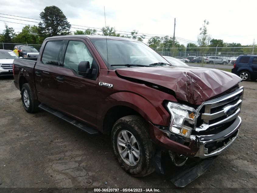 2015 FORD F-150 XLT/XL - 1FTEW1E82FFB08828