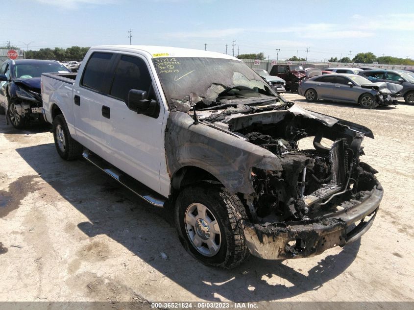 2013 FORD F-150 XL/XLT - 1FTEW1CM8DFA90073