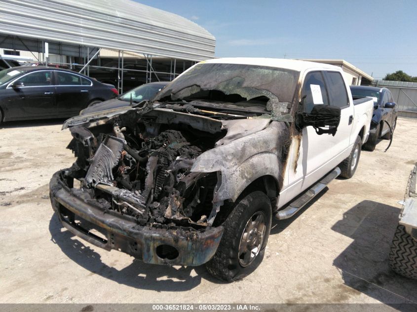 2013 FORD F-150 XL/XLT - 1FTEW1CM8DFA90073