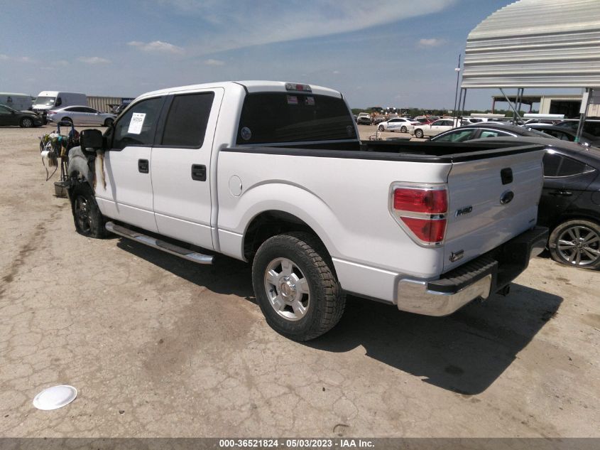 2013 FORD F-150 XL/XLT - 1FTEW1CM8DFA90073