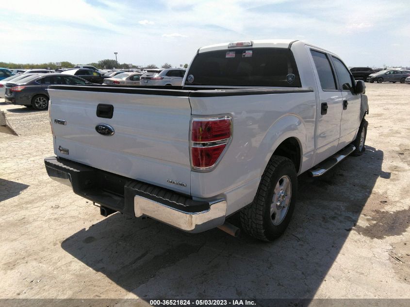 2013 FORD F-150 XL/XLT - 1FTEW1CM8DFA90073