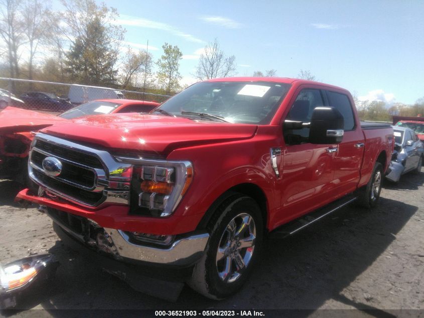 2021 FORD F-150 XL/XLT/LARIAT - 1FTFW1E81MKD93983