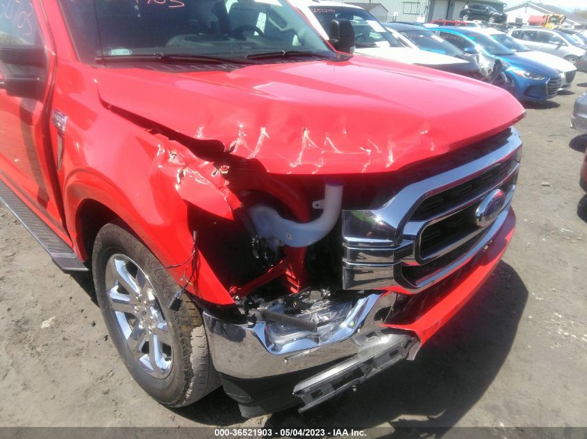 2021 FORD F-150 XL/XLT/LARIAT - 1FTFW1E81MKD93983