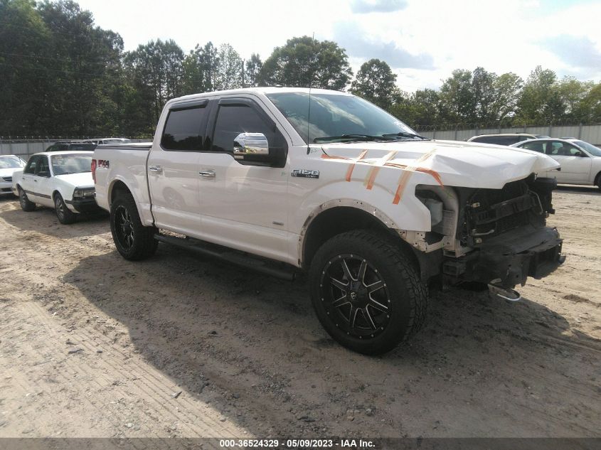 2017 FORD F-150 XL/XLT/LARIAT - 1FTEW1EG5HFA70232