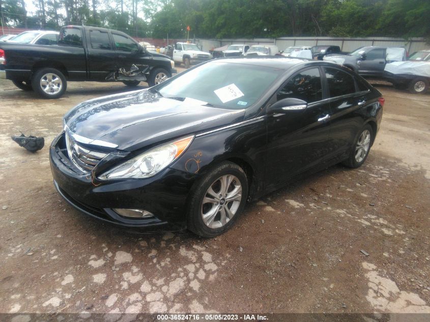 2013 HYUNDAI SONATA LIMITED - 5NPEC4AC3DH803813