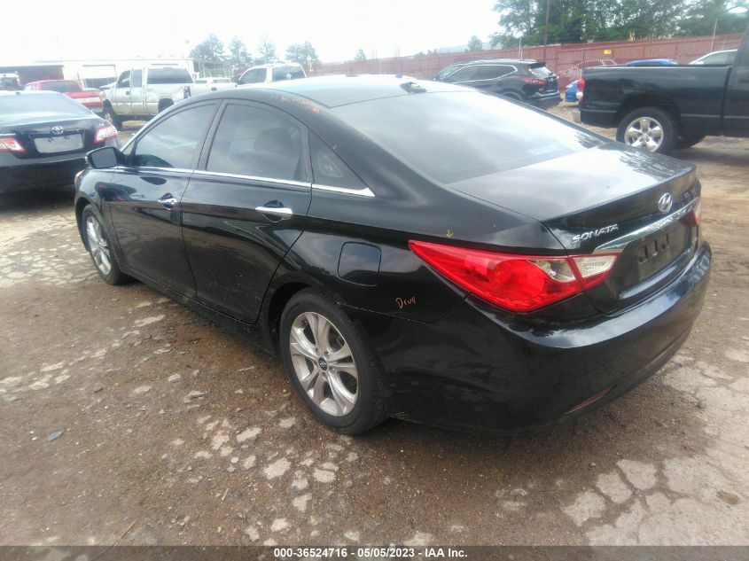 2013 HYUNDAI SONATA LIMITED - 5NPEC4AC3DH803813