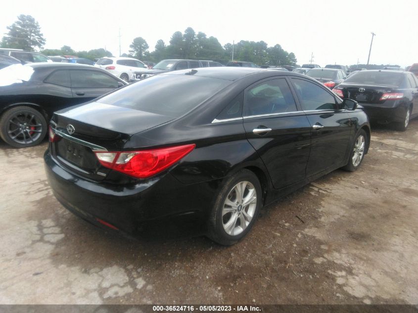 2013 HYUNDAI SONATA LIMITED - 5NPEC4AC3DH803813