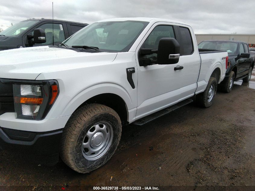 2023 FORD F-150 XL/XLT - 1FTFX1E50PKE22929