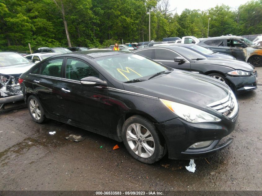 2013 HYUNDAI SONATA LIMITED - 5NPEC4AC4DH672939