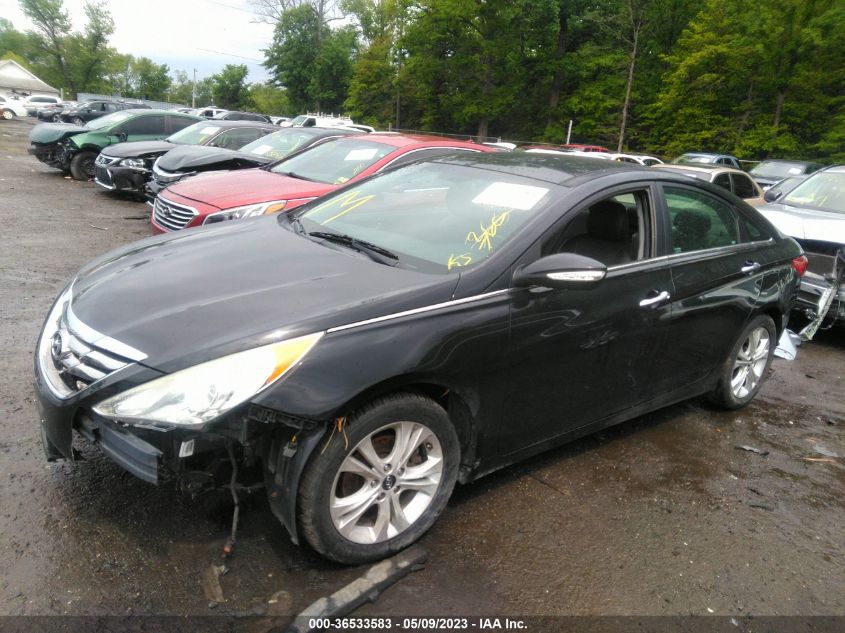 2013 HYUNDAI SONATA LIMITED - 5NPEC4AC4DH672939