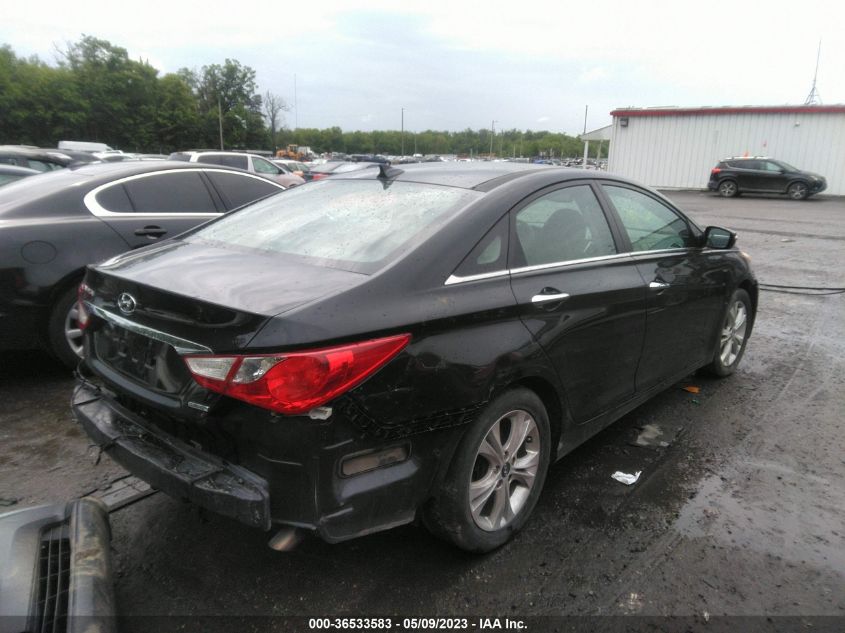 2013 HYUNDAI SONATA LIMITED - 5NPEC4AC4DH672939