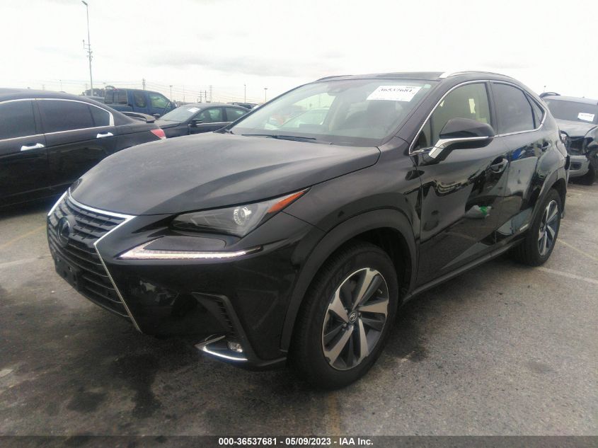 2021 LEXUS NX NX 300H - JTJGJRDZ3M2166352
