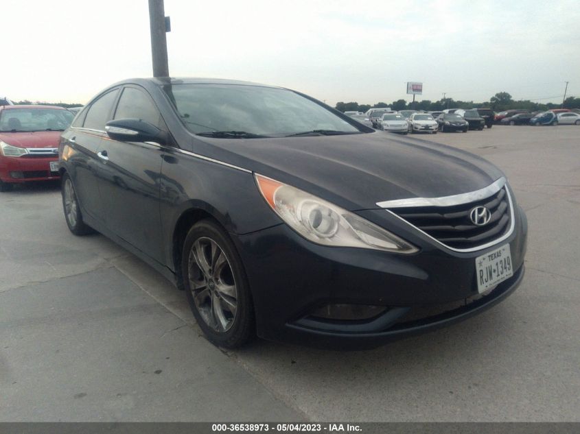 2013 HYUNDAI SONATA LIMITED - 5NPEC4AC7DH682574