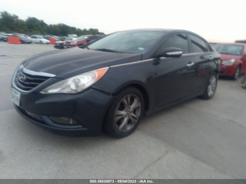 2013 HYUNDAI SONATA LIMITED - 5NPEC4AC7DH682574