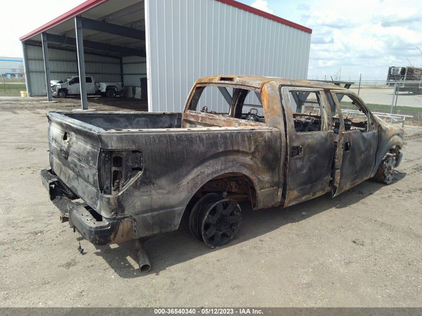 2013 FORD F-150 XL/XLT/FX4/LARIAT - 1FTFW1ET4DFD78245