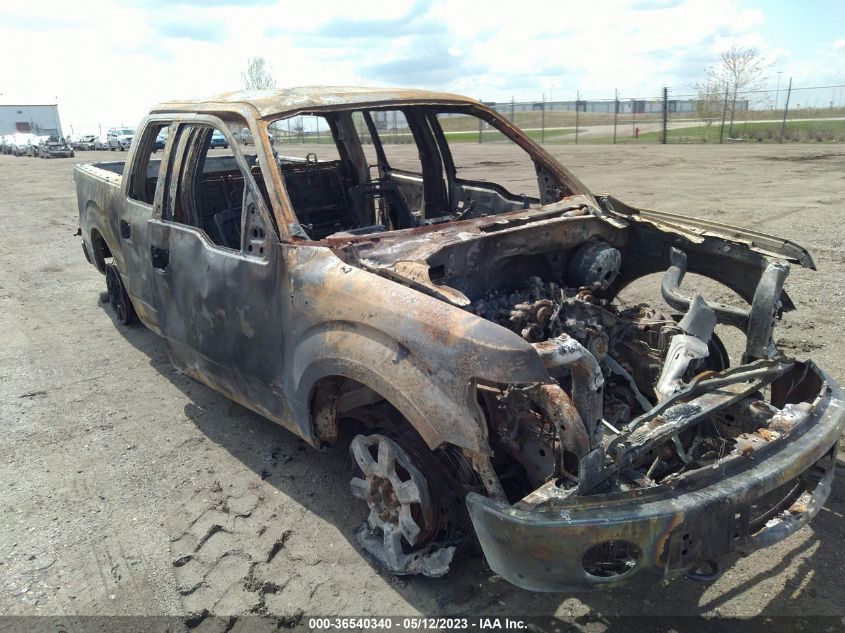 2013 FORD F-150 XL/XLT/FX4/LARIAT - 1FTFW1ET4DFD78245