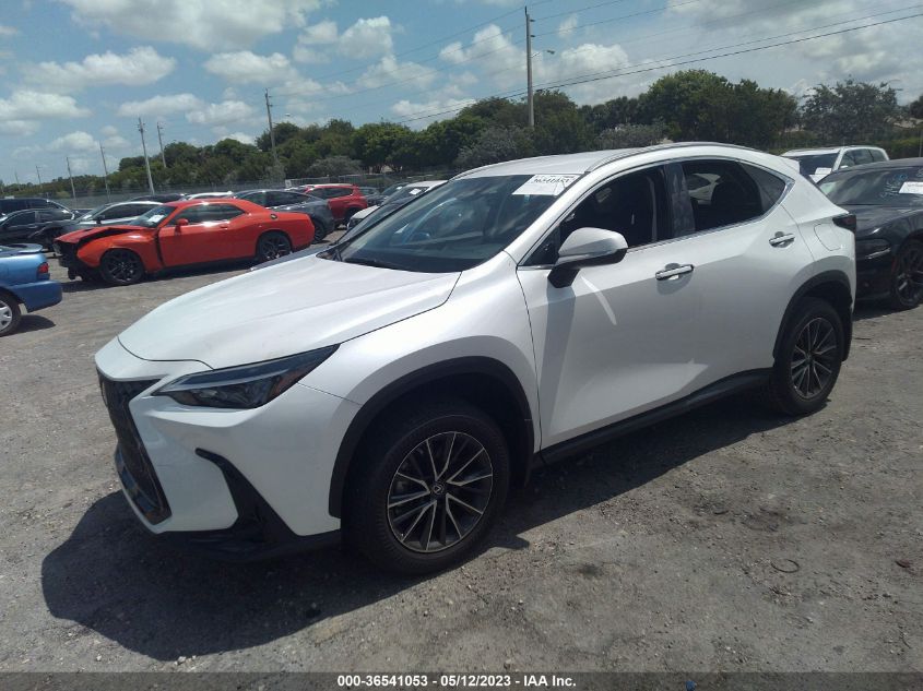 2022 LEXUS NX NX 250 - 2T2ADCAZ8NC001588