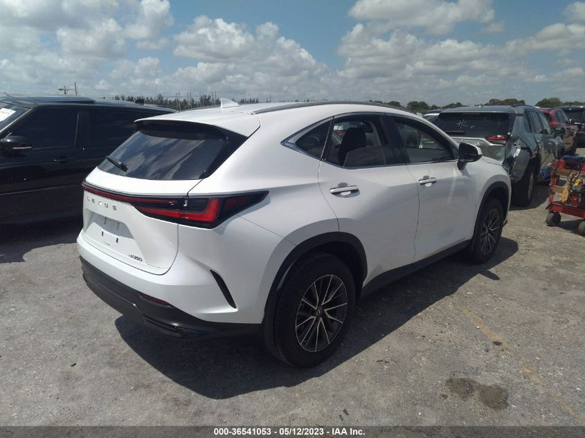 2022 LEXUS NX NX 250 - 2T2ADCAZ8NC001588