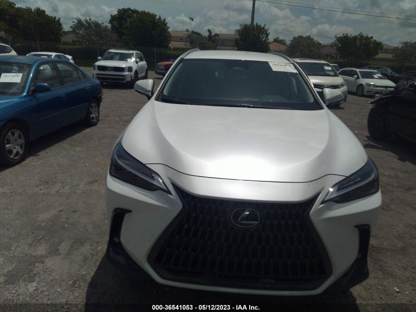 2022 LEXUS NX NX 250 - 2T2ADCAZ8NC001588